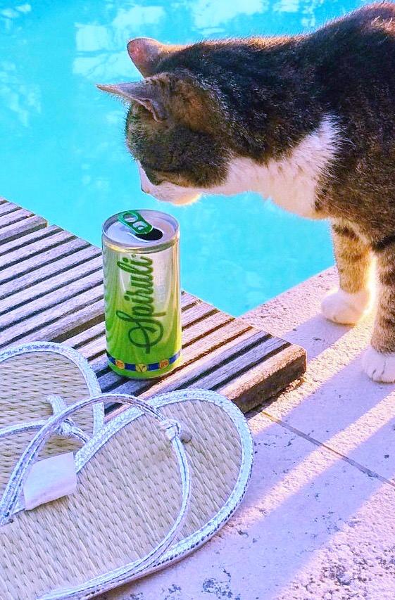 SPIRULI Dose im Alltag – entspannter Moment am Pool